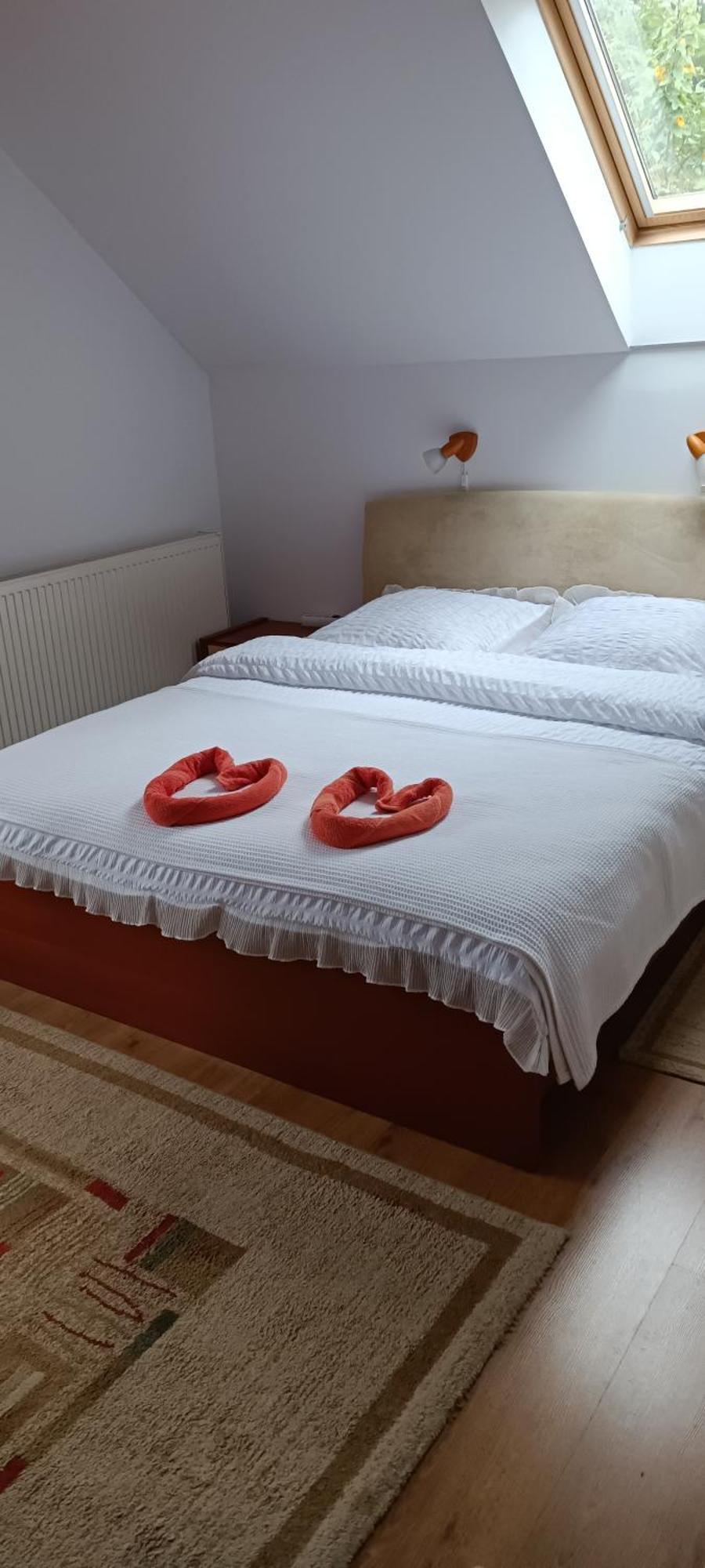 Pasager House Apartment Sovata Exterior photo