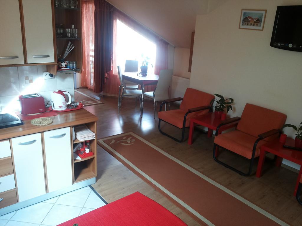 Pasager House Apartment Sovata Exterior photo