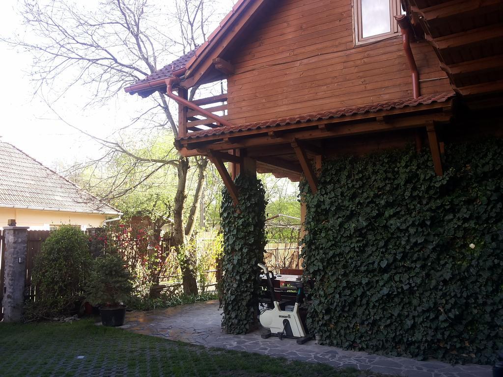Pasager House Apartment Sovata Exterior photo