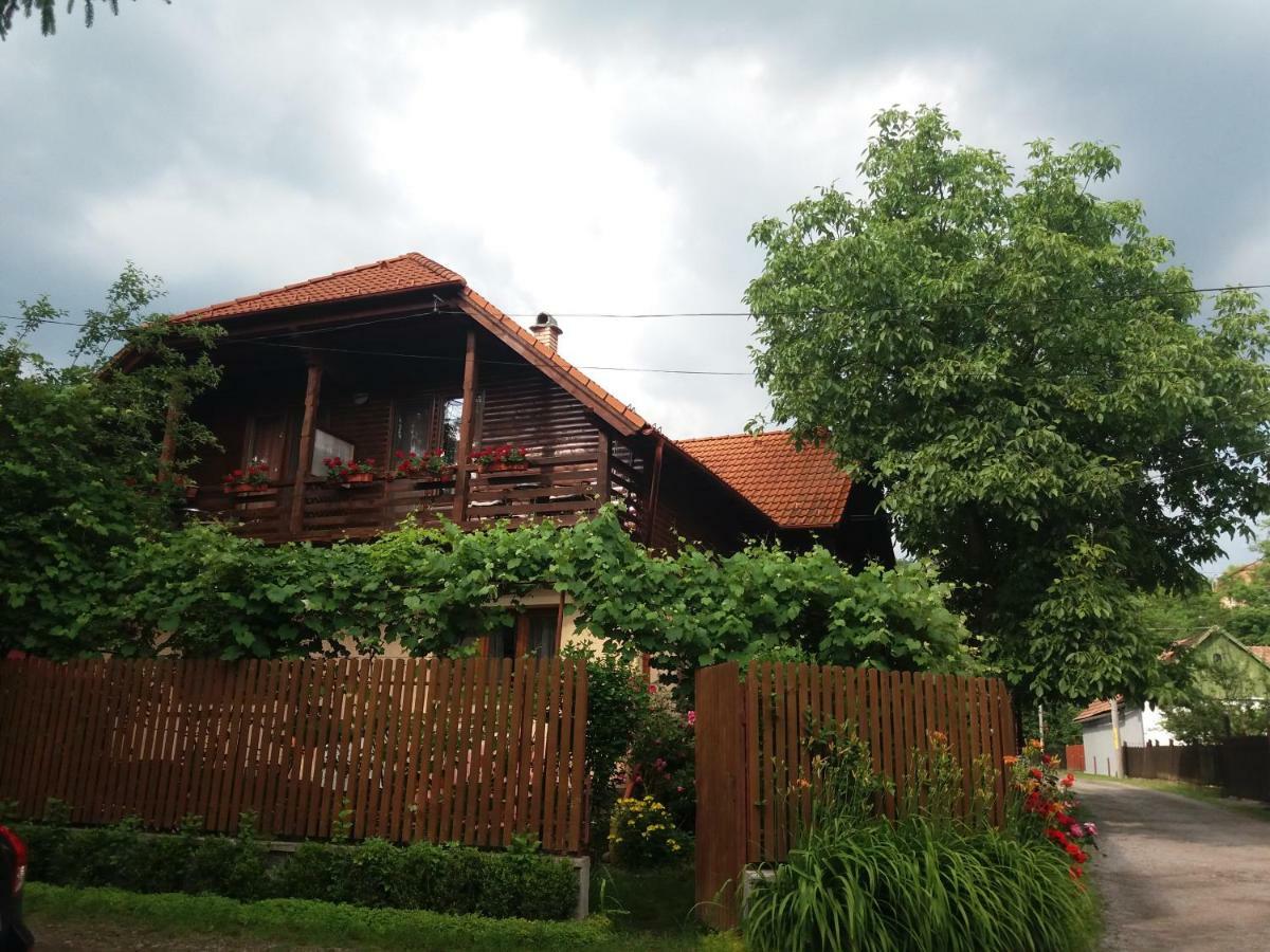 Pasager House Apartment Sovata Exterior photo